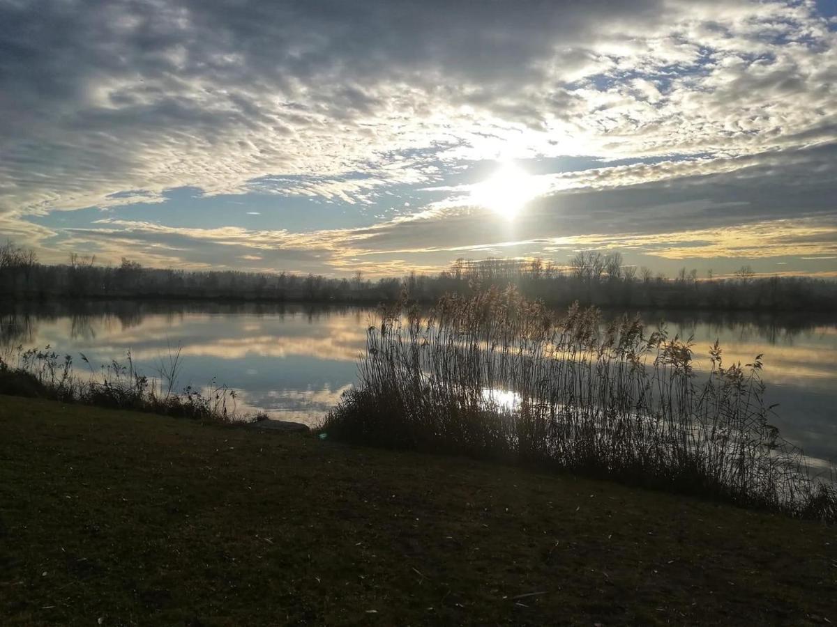 Heurigenbar Lägenhet Feldkirchen an der Donau Exteriör bild