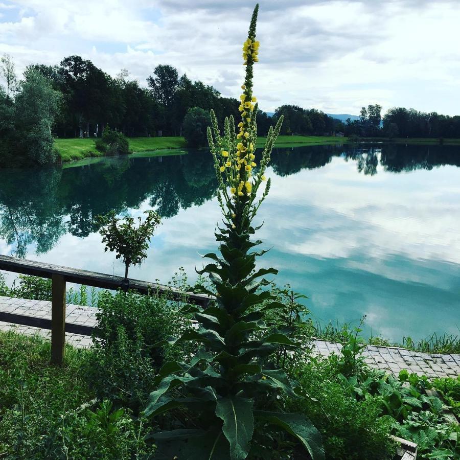 Heurigenbar Lägenhet Feldkirchen an der Donau Exteriör bild